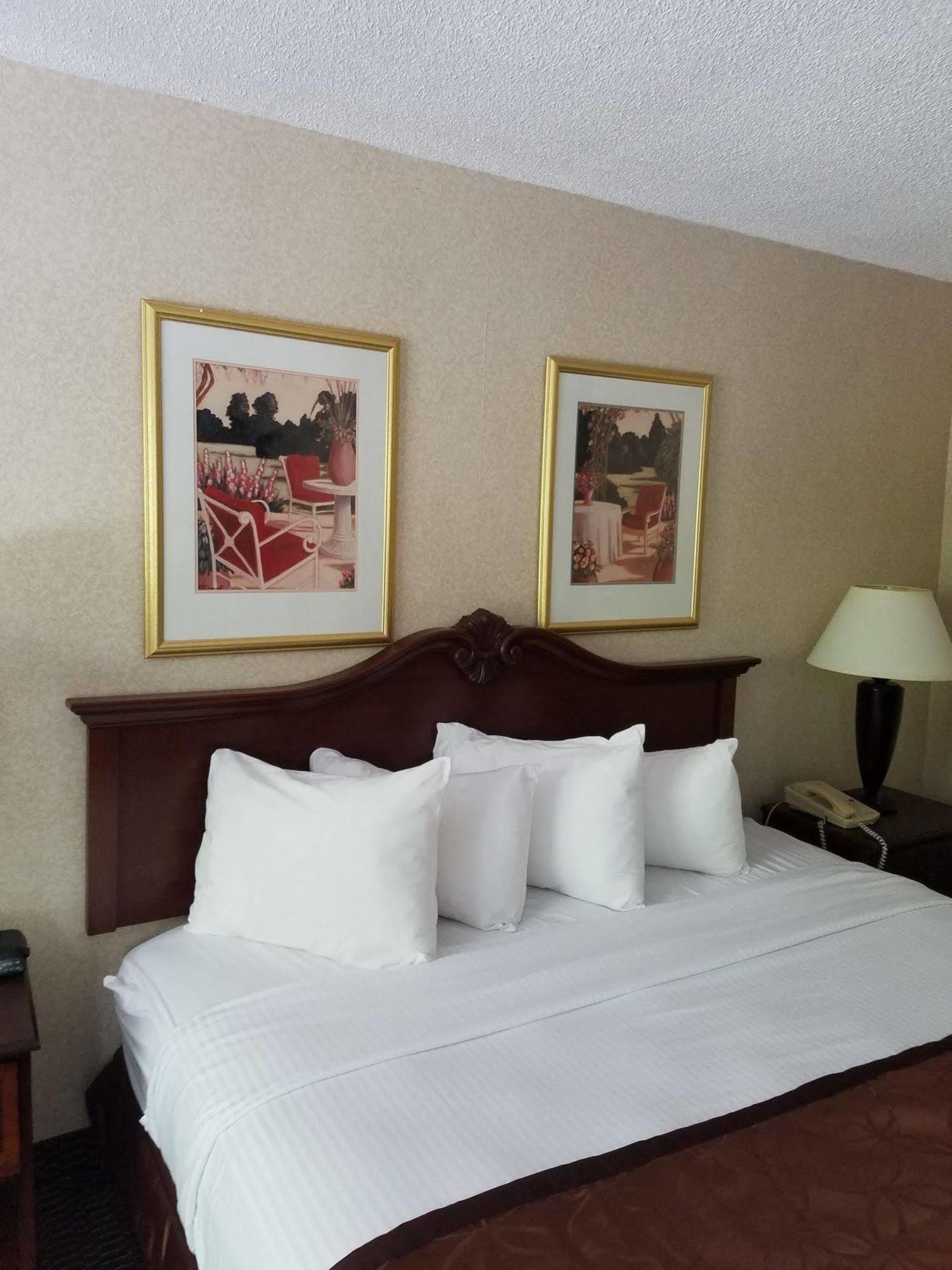 Clarion Inn & Suites Флорънс Екстериор снимка