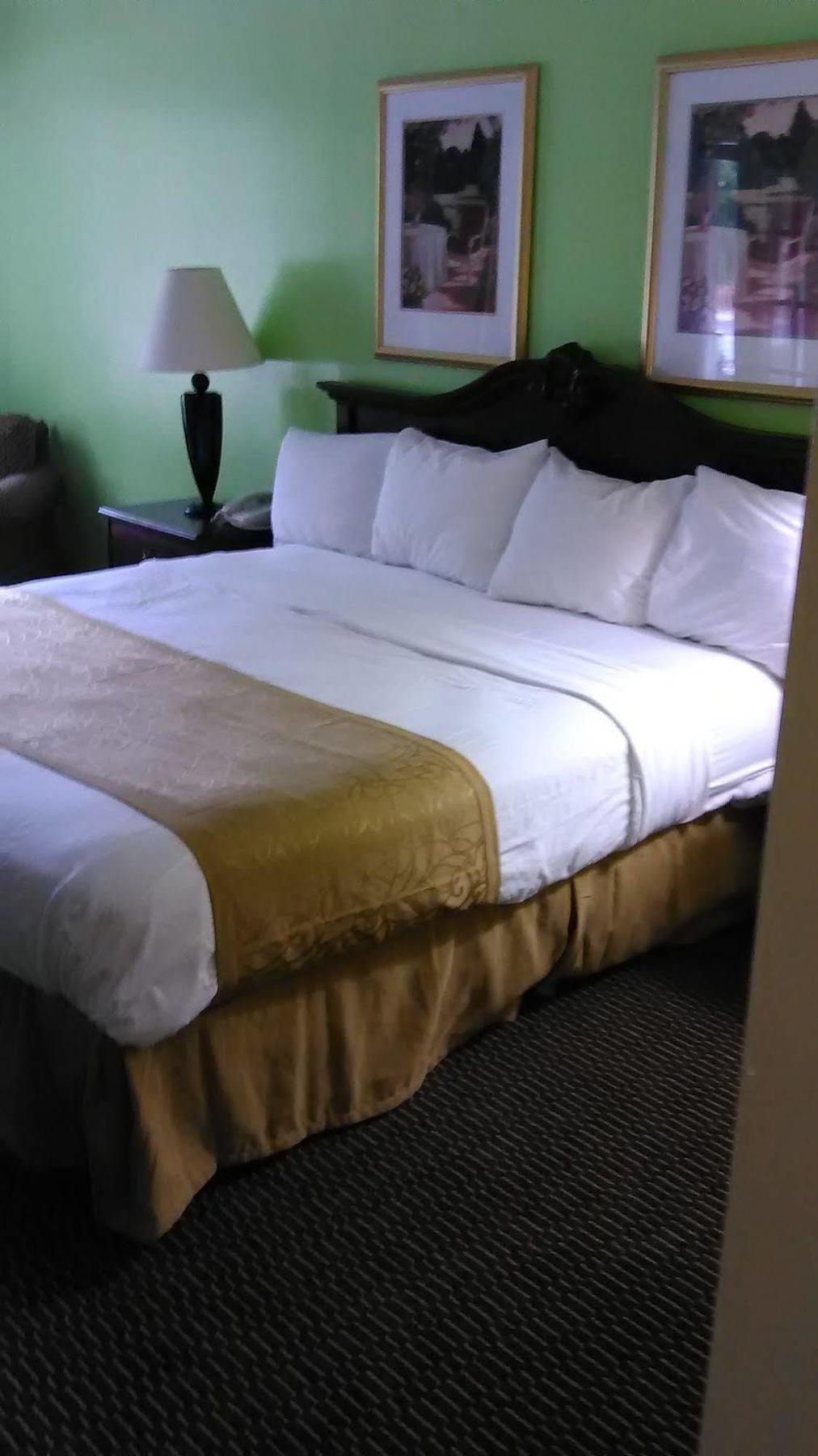 Clarion Inn & Suites Флорънс Екстериор снимка